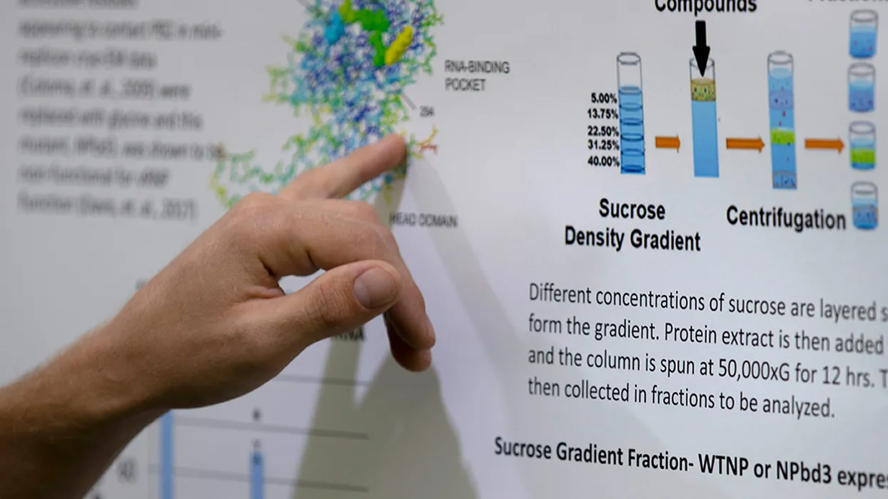 CSUSB's Research Week highlights scholarly achievements of alumni ...